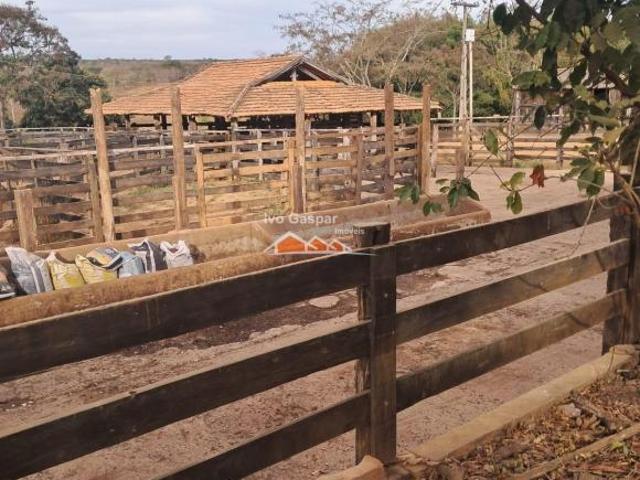 Sítio e chácara venda em Região Geográfica Imediata de Curvelo, Felixlândia