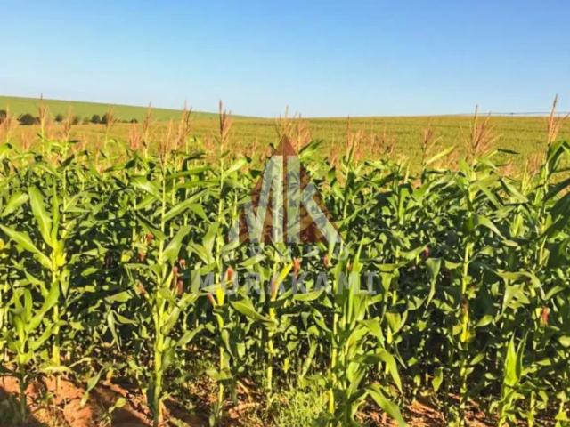 Fazenda venda em Região Geográfica Imediata de Londrina, Florestópolis