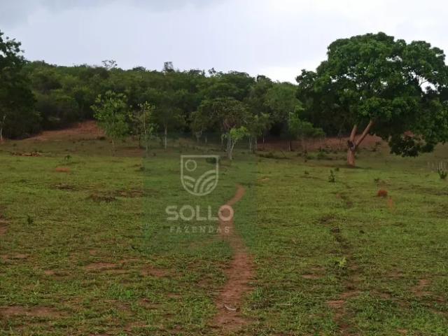 Fazenda venda em Região Geográfica Imediata de Goiânia, Varjão