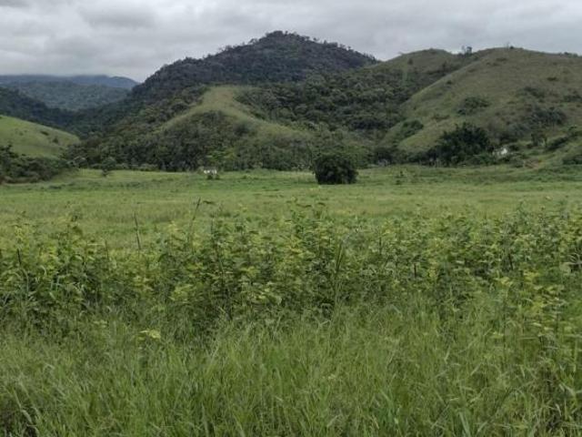 Sítio e chácara venda em Região Imediata de Cruzeiro, Região Metropolitana do Vale do Paraíba e Litoral Norte