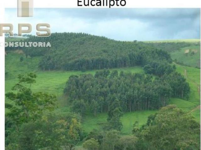 Sítio e chácara venda em Região Geográfica Imediata de Passos, Guapé