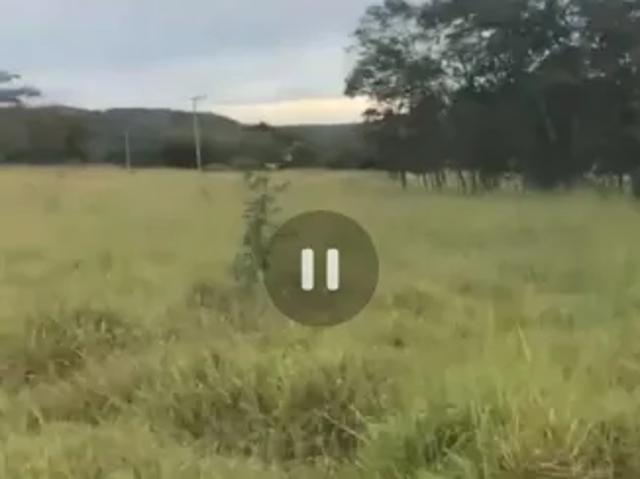 Fazenda venda em Região Geográfica Imediata de Águas Lindas de Goiás, Região Integrada de Desenvolvimento do Distrito Federal e Entorno