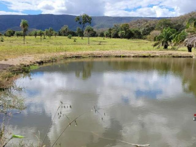 Sítio e chácara venda em Região Geográfica Imediata de Águas Lindas de Goiás, Região Integrada de Desenvolvimento do Distrito Federal e Entorno