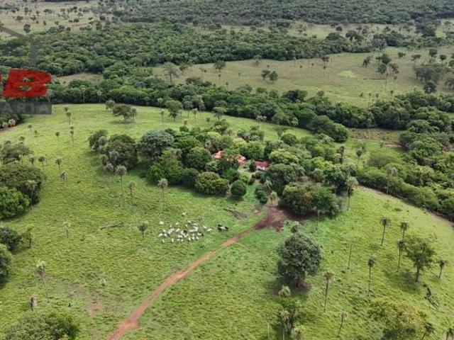 Sítio e chácara venda em Região Geográfica Imediata de Águas Lindas de Goiás, Região Integrada de Desenvolvimento do Distrito Federal e Entorno