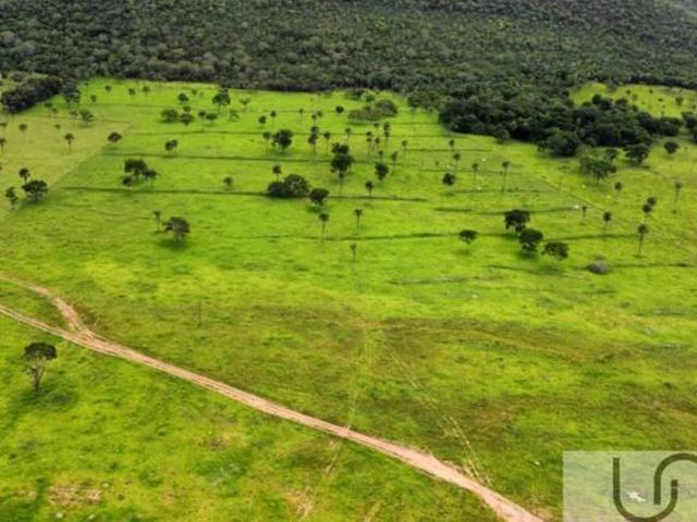 Sítio e chácara venda em Região Geográfica Imediata de Águas Lindas de Goiás, Região Integrada de Desenvolvimento do Distrito Federal e Entorno
