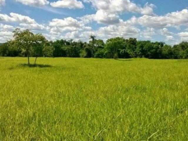 Sítio e chácara venda em Região Geográfica Imediata de Águas Lindas de Goiás, Região Integrada de Desenvolvimento do Distrito Federal e Entorno