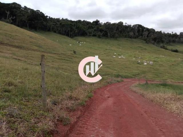 Sítio e chácara venda em Região Geográfica Imediata de São Lourenço, Dom Viçoso