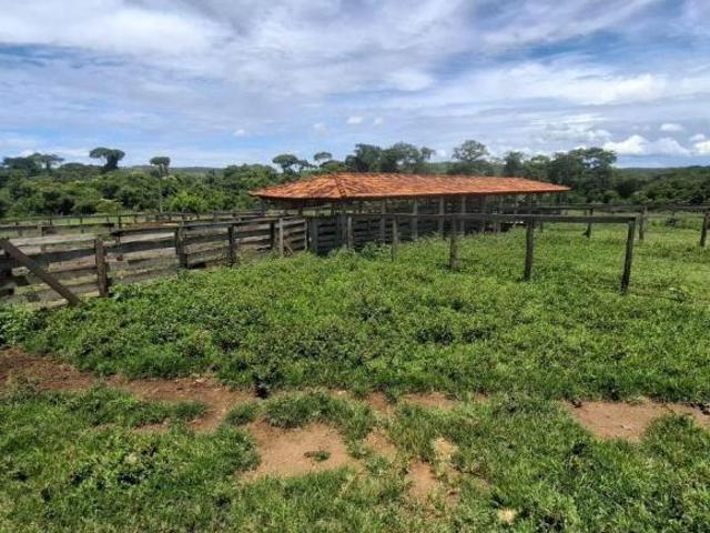 Sítio e chácara venda em Região Geográfica Imediata de Luziânia, Região Integrada de Desenvolvimento do Distrito Federal e Entorno