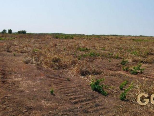 Sítio e chácara venda em Região Geográfica Imediata de Água Boa, Gaúcha do Norte