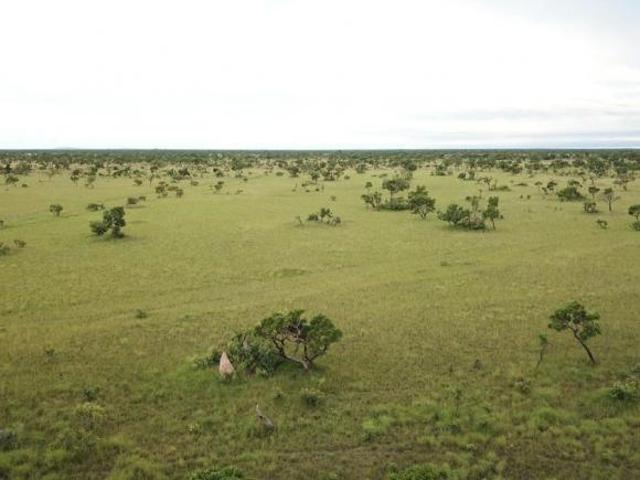 Sítio e chácara venda em Região Geográfica Imediata de Confresa - Vila Rica, São Felix do Araguaia