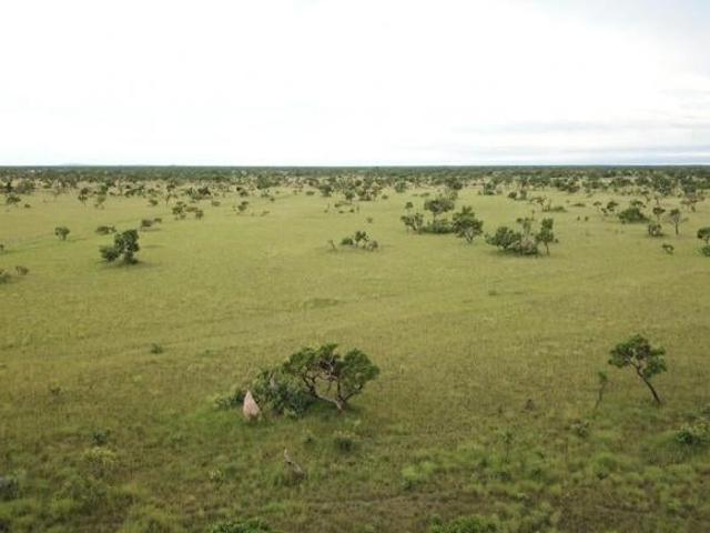 Sítio e chácara venda em Região Geográfica Imediata de Confresa - Vila Rica, São Felix do Araguaia