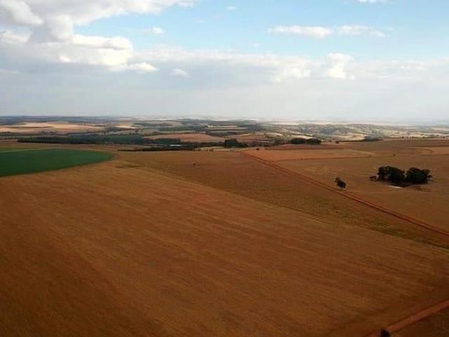 Sítio e chácara venda em Região Geográfica Imediata de Goiás - Itapuranga, Jussara