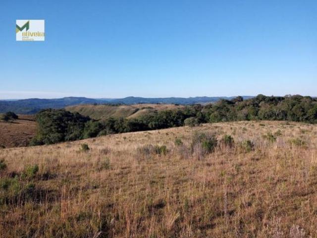 Sítio e chácara venda em Região Geográfica Imediata de Vacaria, Jaquirana