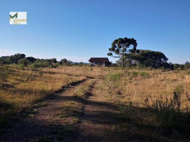Sítio e chácara venda em Região Geográfica Imediata de Vacaria, Jaquirana