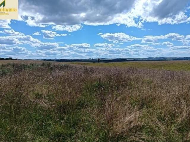 Sítio e chácara venda em Região Geográfica Imediata de Caxias do Sul, São Francisco de Paula
