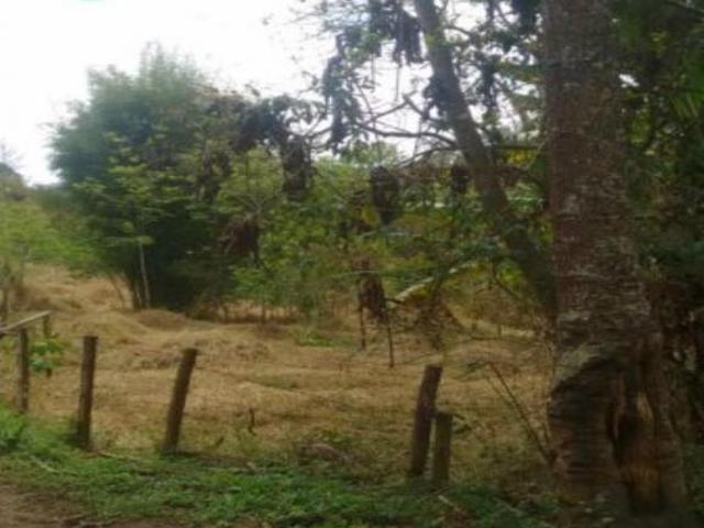 Sítio e chácara venda em Região Imediata de Guaratinguetá, Região Metropolitana do Vale do Paraíba e Litoral Norte