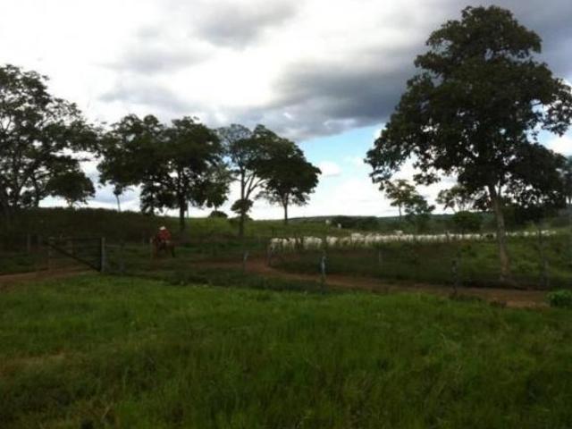 Sítio e chácara venda em Região Geográfica Imediata de Posse-Campos Belos, Guarani de Goiás