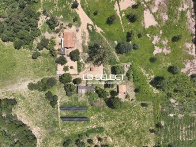 Sítio e chácara venda em Região Geográfica Imediata de Pirapora, Várzea da Palma