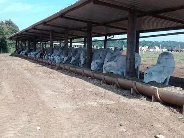 Sítio e chácara venda em Região Imediata de Piracicaba, Laranjal Paulista