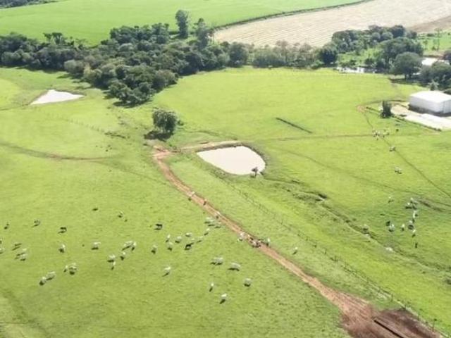 Sítio e chácara venda em Região Imediata de Piracicaba, Laranjal Paulista