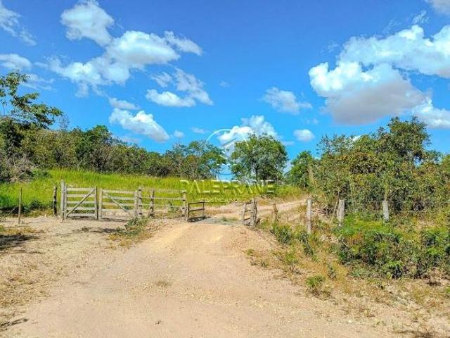 Sítio e chácara venda em Região Geográfica Imediata de Águas Lindas de Goiás, Região Integrada de Desenvolvimento do Distrito Federal e Entorno
