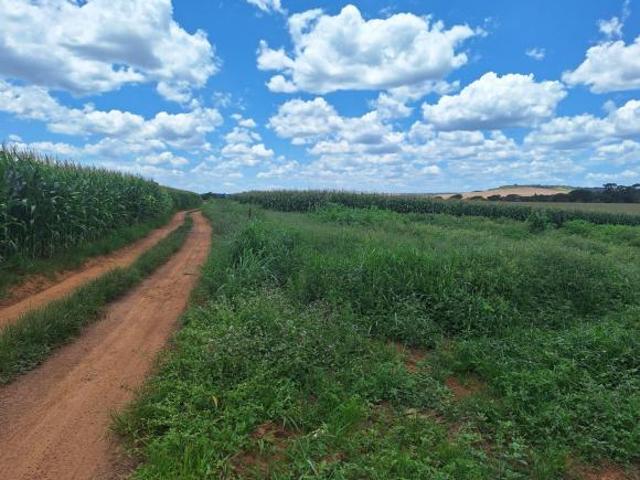 Sítio e chácara venda em Região Geográfica Imediata de Anápolis, Região Integrada de Desenvolvimento do Distrito Federal e Entorno