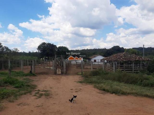 Sítio e chácara venda em Região Geográfica Imediata de Divinópolis, Itaúna