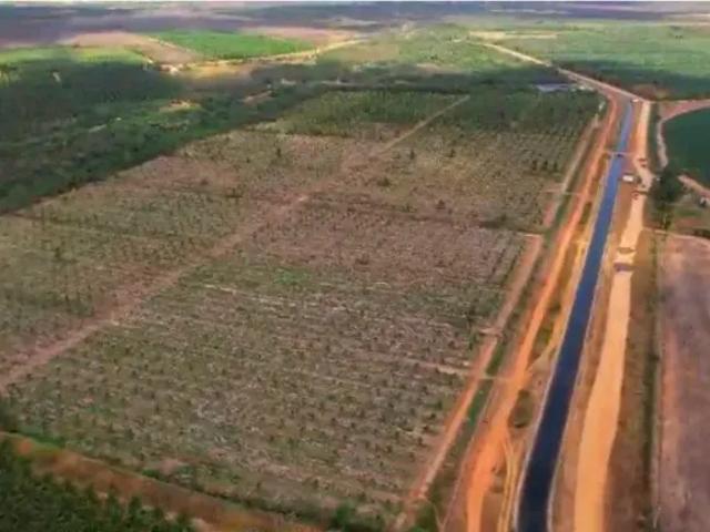 Fazenda venda em Região Geográfica Imediata de Açu, Alto do Rodrigues