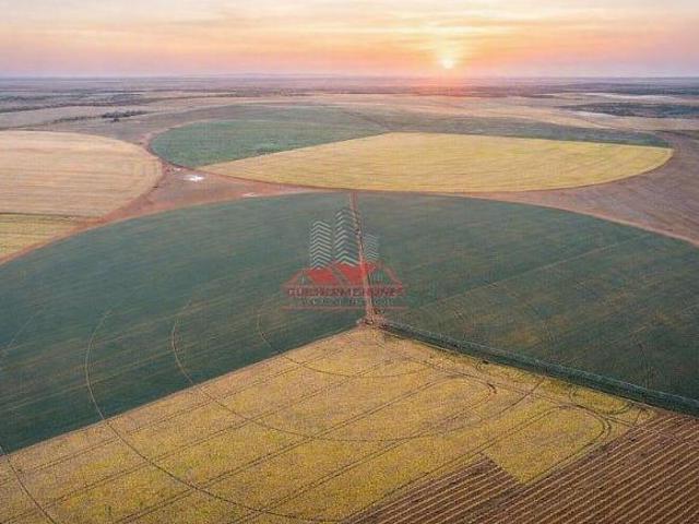 Sítio e chácara venda em Região Geográfica Imediata de Luziânia, Região Integrada de Desenvolvimento do Distrito Federal e Entorno