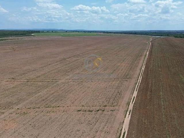 Sítio e chácara venda em João Pinheiro, Região Geográfica Intermediária de Patos de Minas