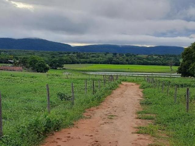 Sítio e chácara venda em Região Geográfica Imediata de Januária, Itacarambi