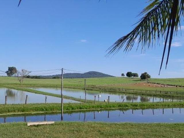 Sítio e chácara venda em Região Geográfica Imediata de Januária, Itacarambi