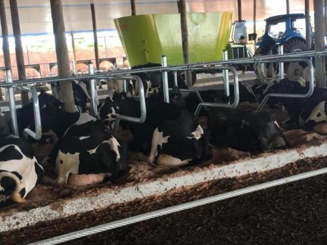 Sítio e chácara venda em Região Imediata de Itapetininga, Região Metropolitana de Sorocaba