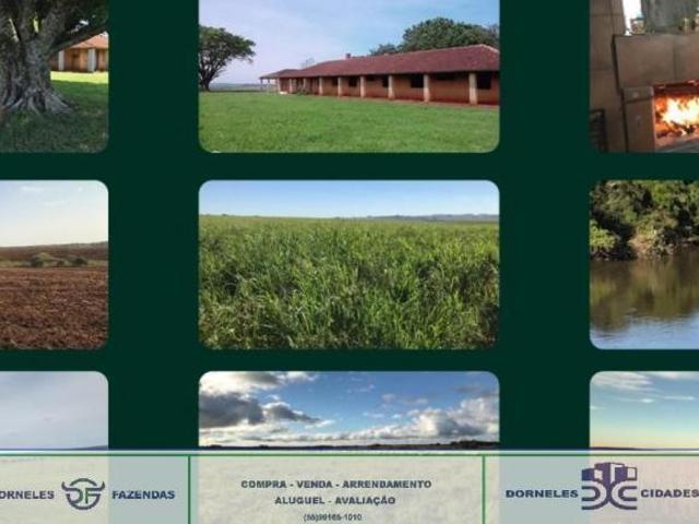Sítio e chácara venda em Região Geográfica Imediata de São Borja, Itaqui