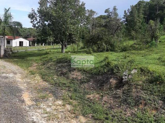 Sítio e chácara venda em Jacupiranga