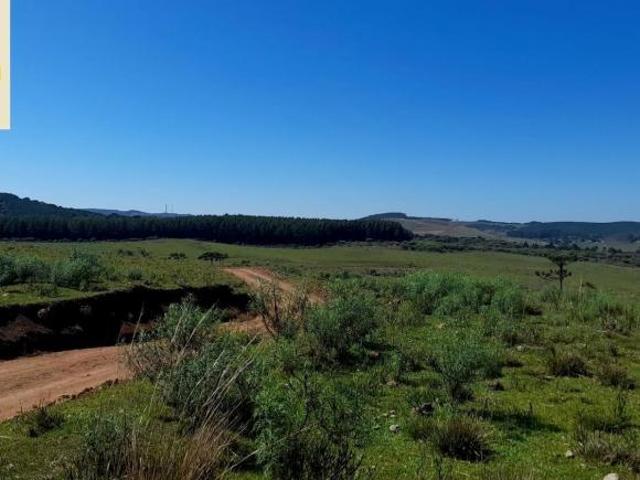 Sítio e chácara venda em Região Geográfica Imediata de Caxias do Sul, Cambara do Sul