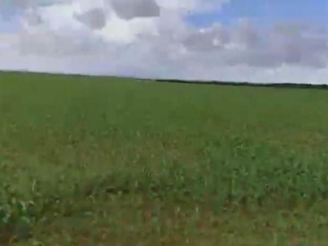 Sítio e chácara venda em Região Geográfica Imediata de Patos de Minas, Paracatu