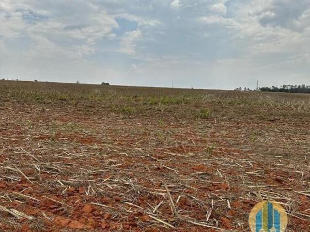 Sítio e chácara venda em Nova Maringá, Região Geográfica Intermediária de Cuiabá