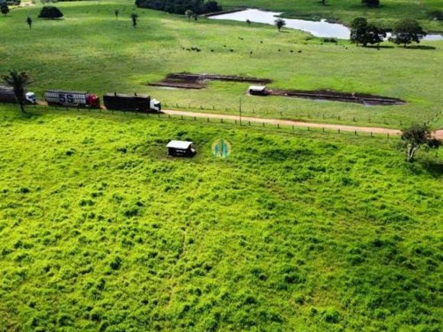 Sítio e chácara venda em Região Geográfica Imediata de Juara, Juara