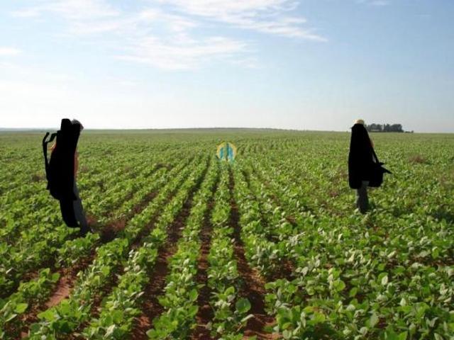Sítio e chácara venda em Região Geográfica Imediata de Campo Grande, Sidrolândia