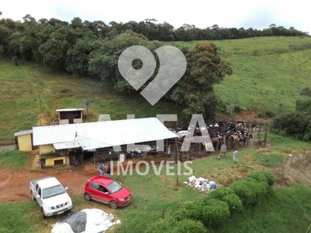 Sítio e chácara venda em Região Geográfica Imediata de Barbacena, Antônio Carlos