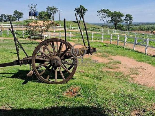 Sítio e chácara venda em Região Geográfica Imediata de Curvelo, Curvelo