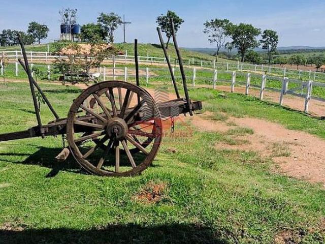 Sítio e chácara venda em Região Geográfica Imediata de Curvelo, Curvelo