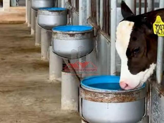 Sítio e chácara venda em Região Geográfica Imediata de Patos de Minas, João Pinheiro