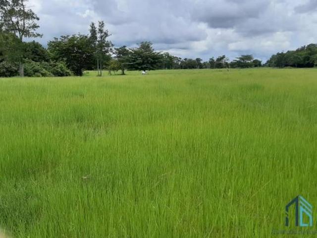 Sítio e chácara venda em Mossâmedes, Região Geográfica Intermediária de Goiânia