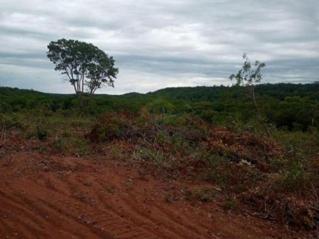 Sítio e chácara venda em Região Geográfica Imediata de Curitiba, Rio Negro