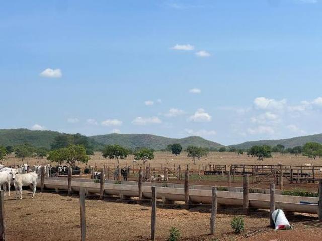Sítio e chácara venda em Região Geográfica Imediata de Unaí, Região Integrada de Desenvolvimento do Distrito Federal e Entorno