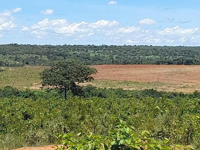 Sítio e chácara venda em Região Geográfica Imediata de Sete Lagoas, Cordisburgo