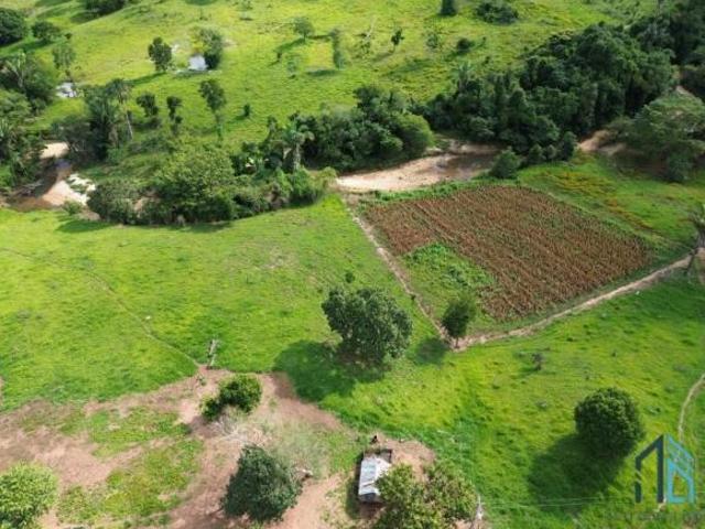 Sítio e chácara venda em Região Geográfica Imediata de Goiânia, Goiânia