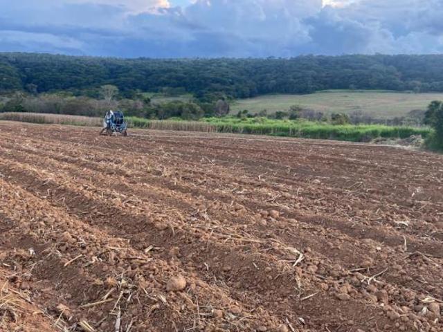 Sítio e chácara venda em Região Geográfica Imediata de Dores do Indaiá, Pompéu